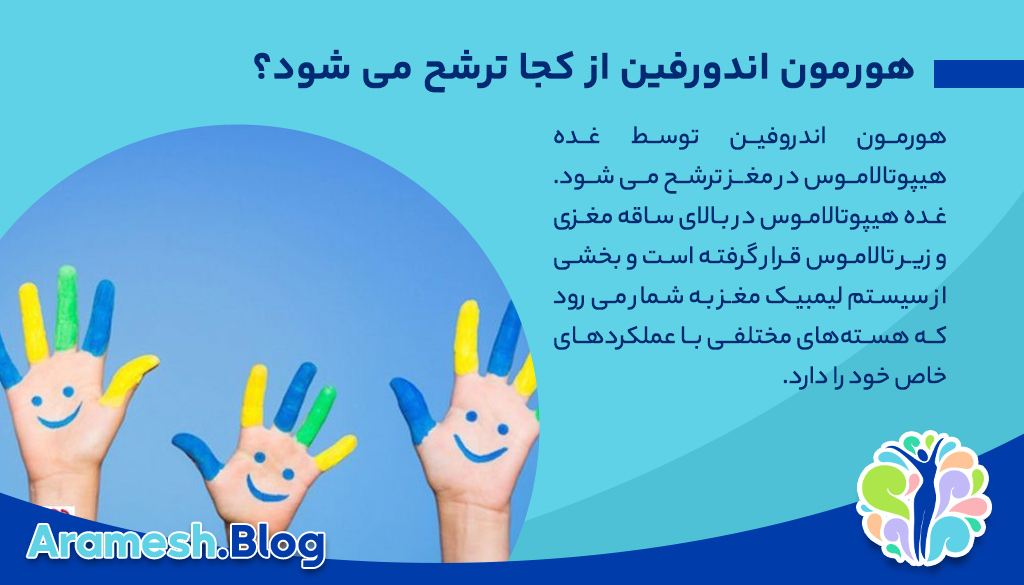 هورمون اندورفین یا هورمون شادی چه نقشی در بدن دارد؟