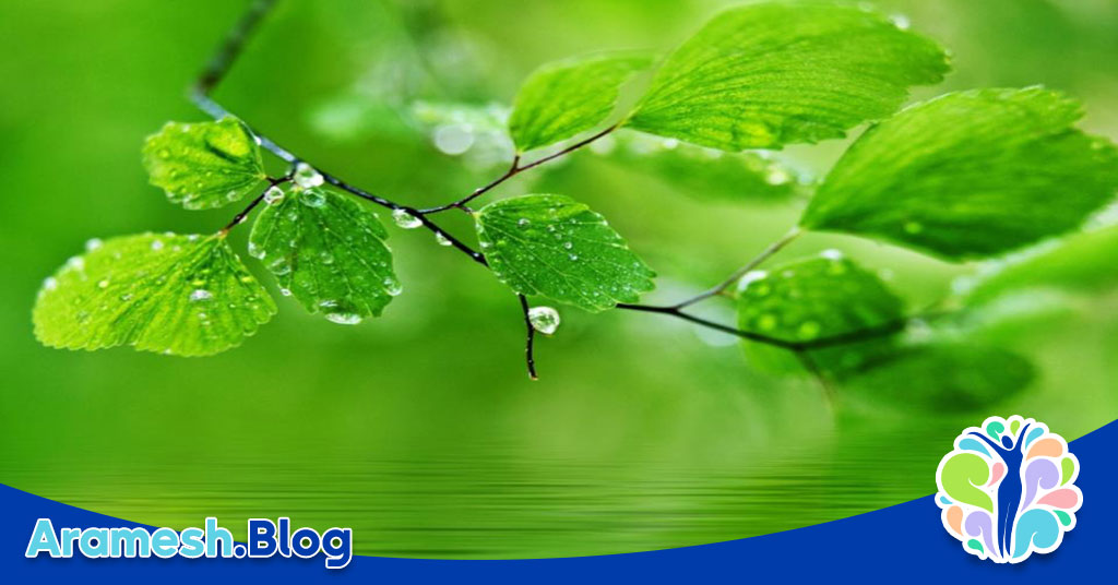 نظریه اتکا به گروه: تحلیل و اهمیت آن در روانشناسی اجتماعی