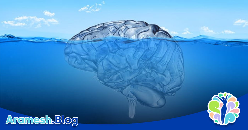 ناهشیار فردی و تاثیر آن بر رفتار انسان 4 ناهشیار فردی و تاثیر آن بر رفتار انسان