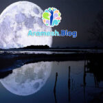 بازتاب درونی؛ نگاهی به آیینه ذهن و روح