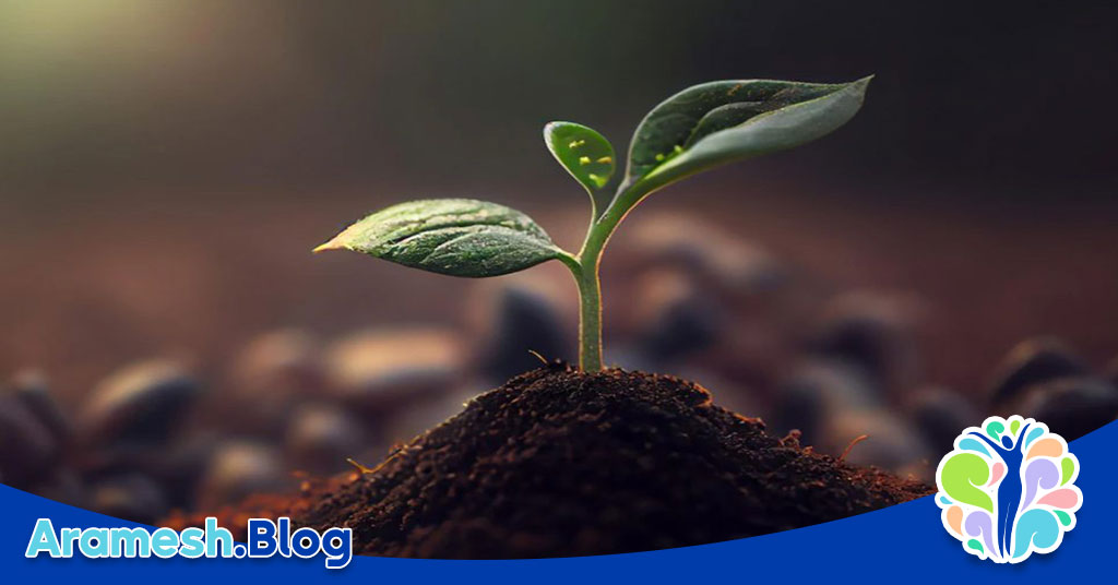 تکامل روانی: روندی پیچیده از تولد تا بلوغ 4 تکامل روانی: روندی پیچیده از تولد تا بلوغ