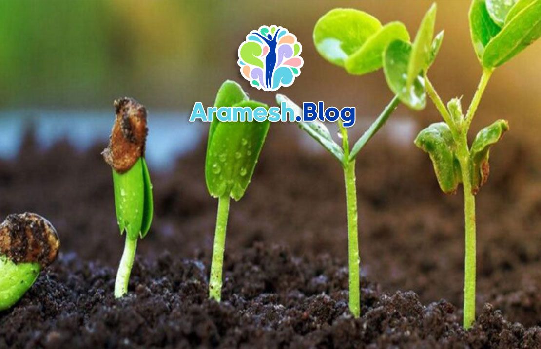 تکامل روانی: روندی پیچیده از تولد تا بلوغ 1 تکامل روانی: روندی پیچیده از تولد تا بلوغ