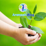 تحلیل معنای زندگی: جستجو برای پاسخ‌های عمیق و پایدار