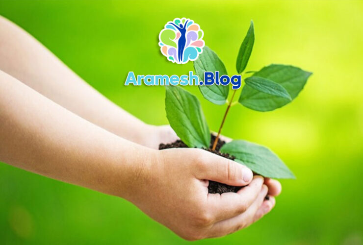 تحلیل معنای زندگی: جستجو برای پاسخهای عمیق و پایدار 7 تحلیل معنای زندگی: جستجو برای پاسخهای عمیق و پایدار