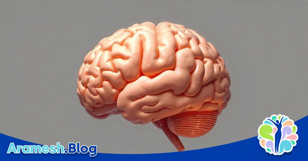 اتصال ذهن و بدن: رابطهای پیچیده و قدرتمند 2 اتصال ذهن و بدن: رابطهای پیچیده و قدرتمند