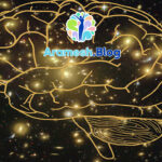 تجربه خودآگاهانه: کلید درک و تحول درونی