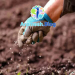 جایگاه خود در جهان: درک ارزش و نقش فردی در جهانی بزرگ