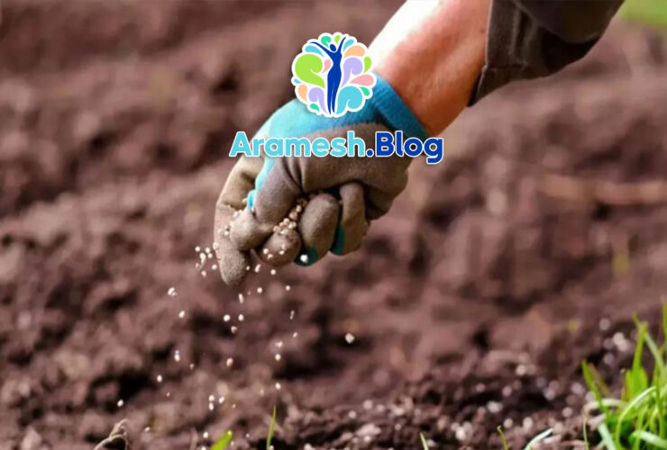 جایگاه خود در جهان: درک ارزش و نقش فردی در جهانی بزرگ