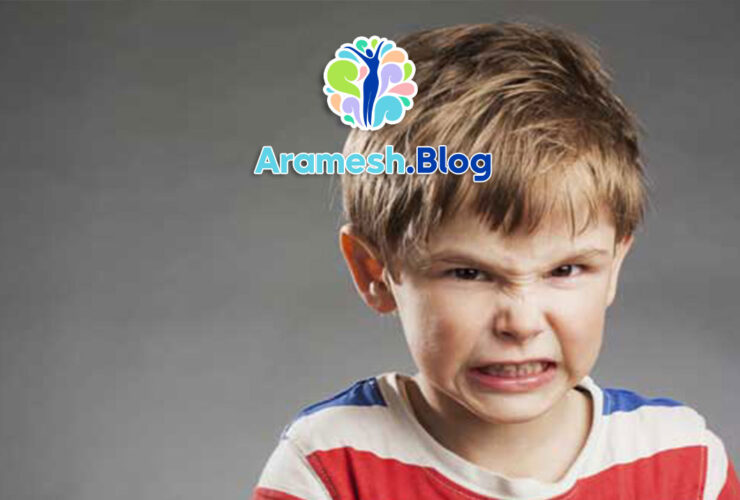 اختلال نامنظمی خلقی اخلالگرانه: بررسی جامع و کامل 24 اختلال نامنظمی خلقی اخلالگرانه: بررسی جامع و کامل