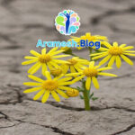 تاب آوری روانی در دوران پس از جنگ