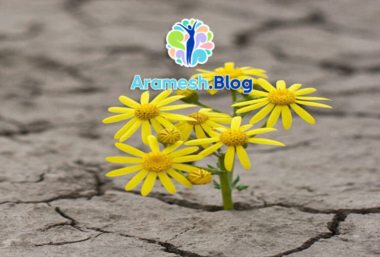 تاب آوری روانی در دوران پس از جنگ 10 تاب آوری روانی در دوران پس از جنگ