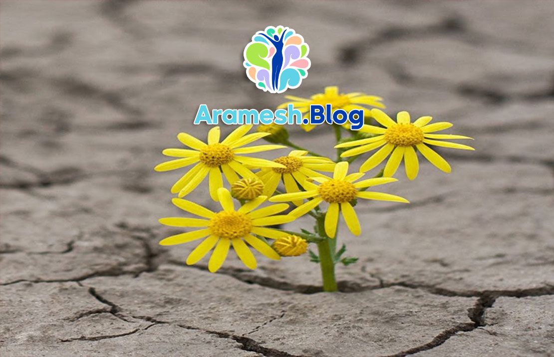 تاب آوری روانی در دوران پس از جنگ 1 تاب آوری روانی در دوران پس از جنگ