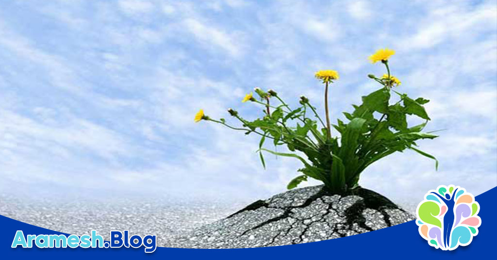 تاب آوری روانی در دوران پس از جنگ 4 تاب آوری روانی در دوران پس از جنگ