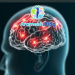 جایگاه هیپوکامپ در اختلالات روانی: نقش کلیدی در سلامت روان