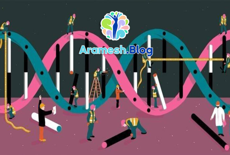 جایگاه قشر پیش پیشانی در اختلالات روانی: مهم‌ترین کلید درک، پیشگیری و درمان