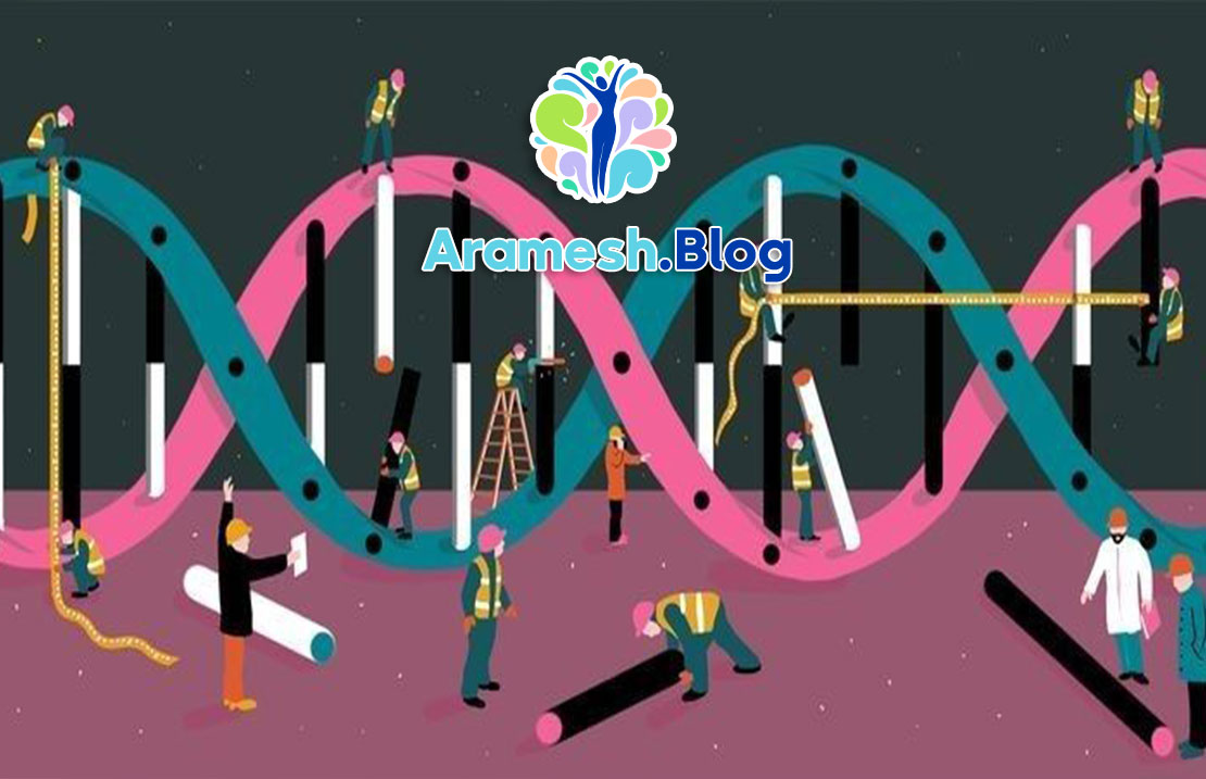 جایگاه قشر پیش پیشانی در اختلالات روانی: مهم‌ترین کلید درک، پیشگیری و درمان