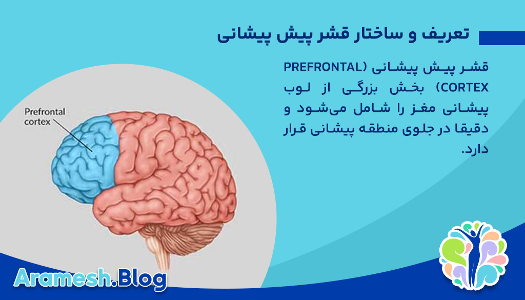 جایگاه قشر پیش پیشانی در اختلالات روانی: مهم‌ترین کلید درک، پیشگیری و درمان