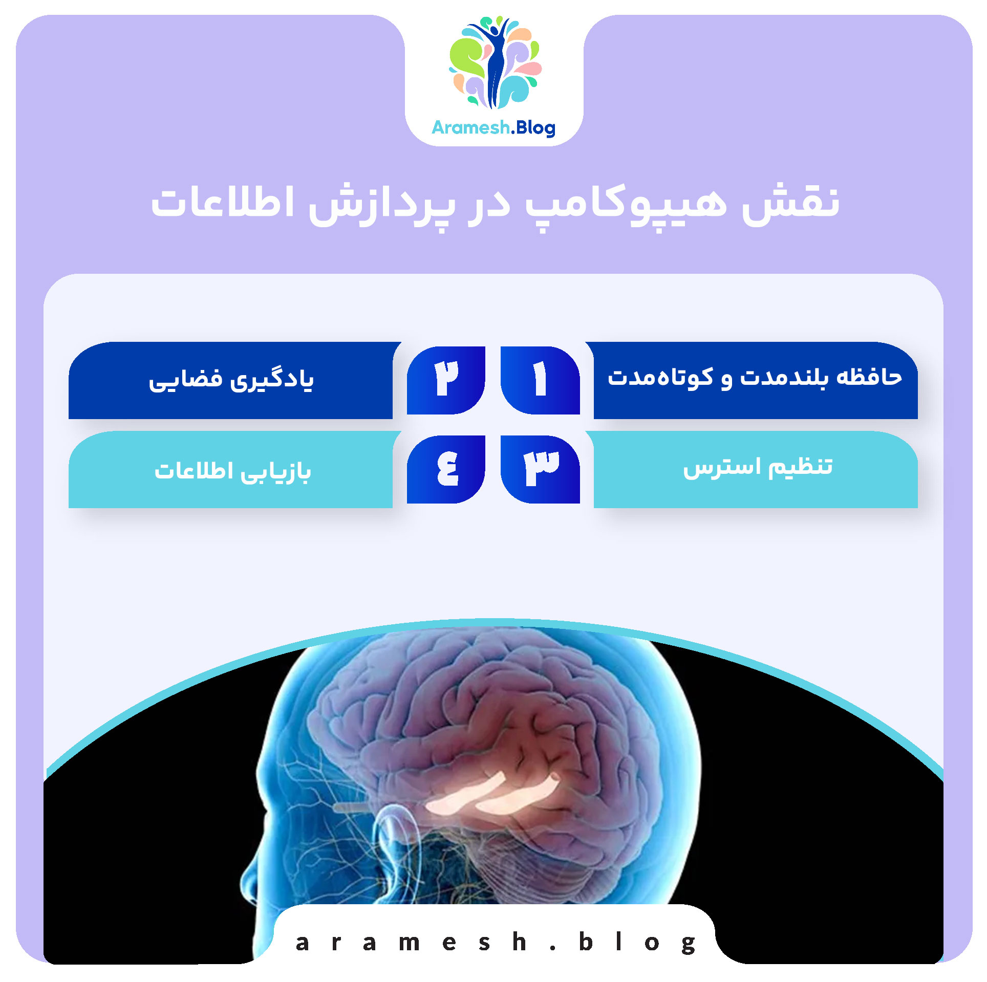 جایگاه هیپوکامپ در اختلالات روانی: نقش کلیدی در سلامت روان 3 جایگاه هیپوکامپ در اختلالات روانی: نقش کلیدی در سلامت روان
