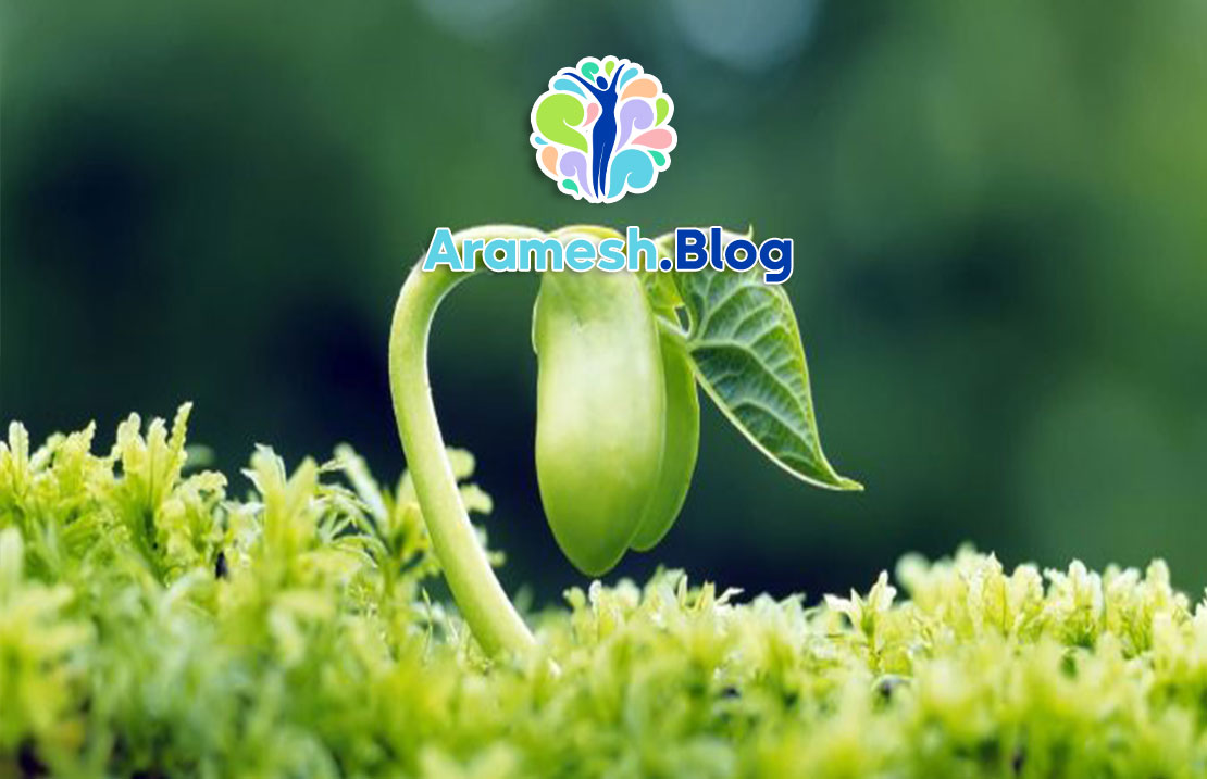 روانشناسی رشد در بزرگسالی متاخر: بررسی تحولات روانی و اجتماعی در دوره پایانی زندگی