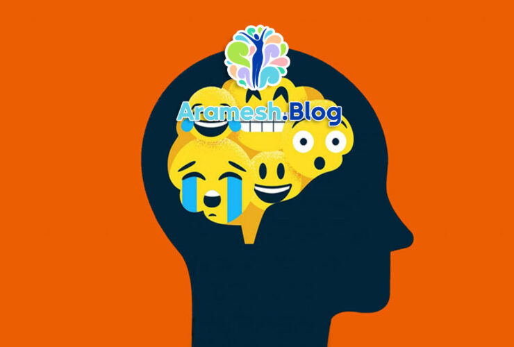 تنظیم هیجانی در موقعیت های بحرانی: مهارت حیاتی برای مدیریت استرس و بحران