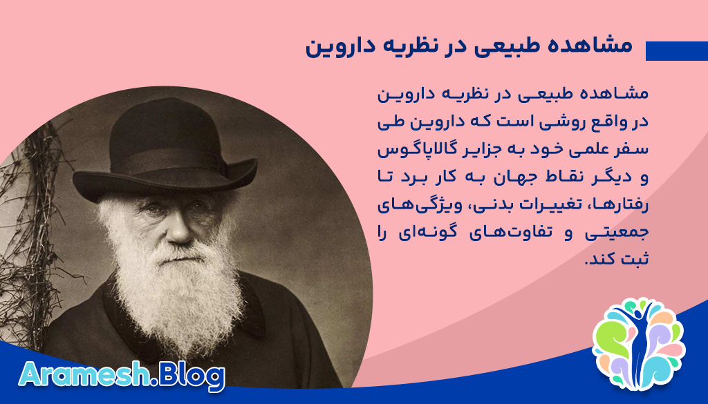 مشاهده طبیعی در نظریه داروین: بنیانها، شواهد و تأثیرات علمی 2 مشاهده طبیعی در نظریه داروین: بنیانها، شواهد و تأثیرات علمی