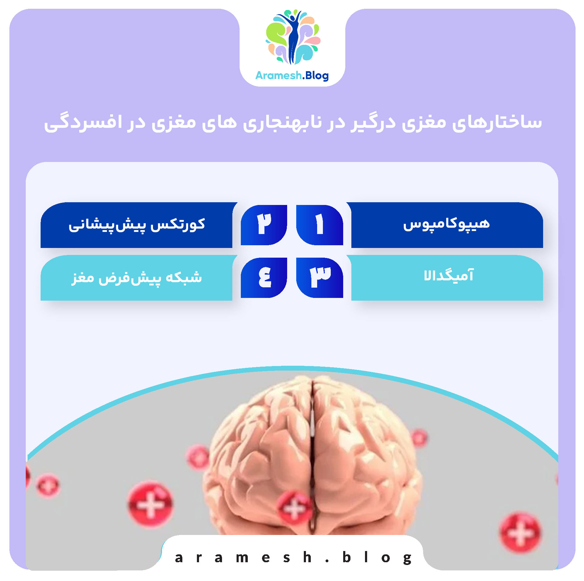 نابهنجاری های مغزی در افسردگی: بررسی علل و مکانیسم‌ها