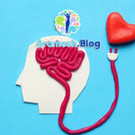 روانشناسی سلامت در سبک زندگی+ مواردی که باید بدانید