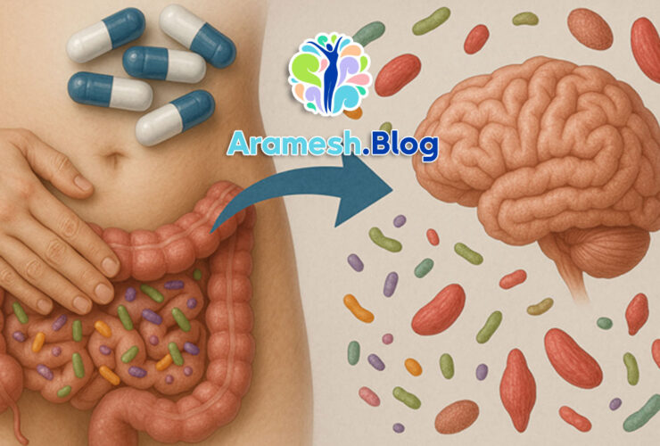 اثرات میکروبیوم روده بر سلامت روان 15 اثرات میکروبیوم روده بر سلامت روان