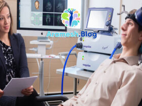 نقش روانشناسی بالینی در توانبخشی شناختی بیماران سکته مغزی 18 نقش روانشناسی بالینی در توانبخشی شناختی بیماران سکته مغزی