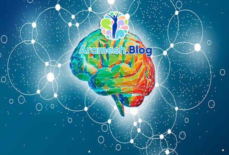 رشد مغز در سال های اولیه+ بررسی 4 عامل اثرگذار 15 رشد مغز در سال های اولیه+ بررسی 4 عامل اثرگذار