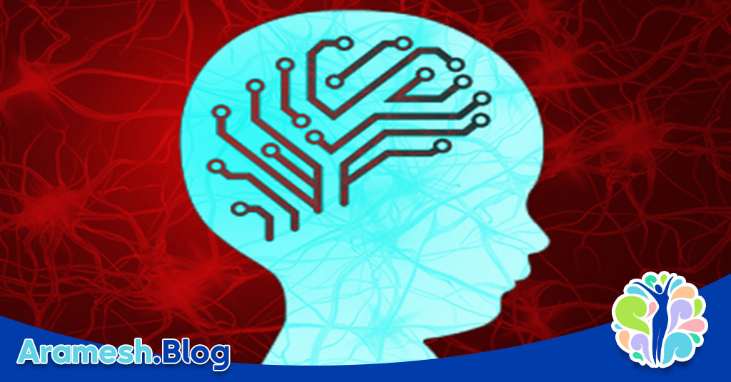 رشد مغز در سال های اولیه+ بررسی 4 عامل اثرگذار