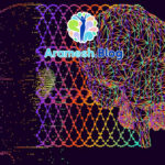 شبکه های عصبی شناختی