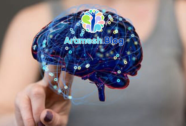 نوروسایکولوژی شناختی+ معرفی 4 حوزه مهم