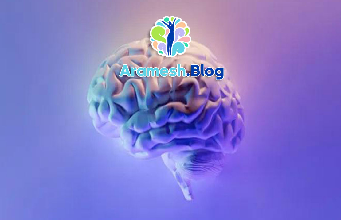 روانشناسی شناختی در علوم اعصاب 2 روانشناسی شناختی در علوم اعصاب