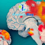 0 تا 100 پردازش هیجانی مغز