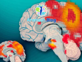 0 تا 100 پردازش هیجانی مغز