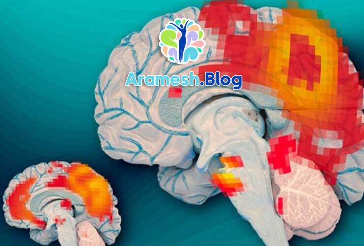 0 تا 100 پردازش هیجانی مغز