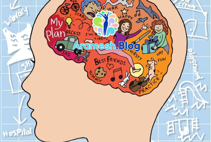 کارکردهای اجرایی مغز+ 3 کارکرد مهم