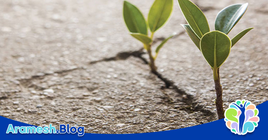 انگیزش و امید در رفتار انسان+بررسی انواع و اثرات 2 انگیزش و امید در رفتار انسان+بررسی انواع و اثرات