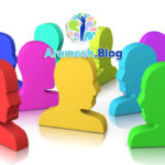 ویژگی های روابط بین فردی مثبت چیست؟