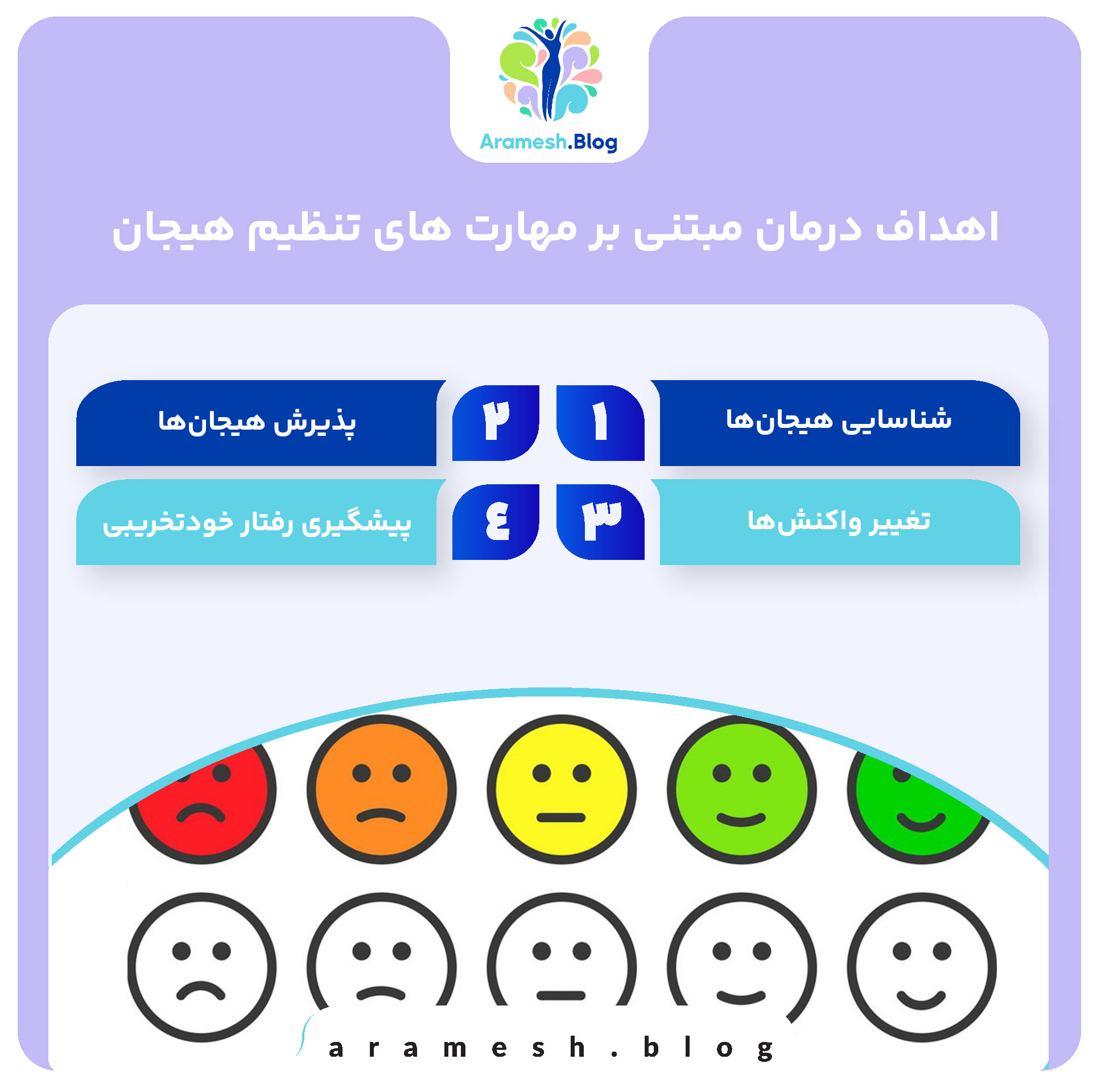 اهداف درمان مبتنی بر مهارت های تنظیم هیجان در اختلال شخصیت مرزی