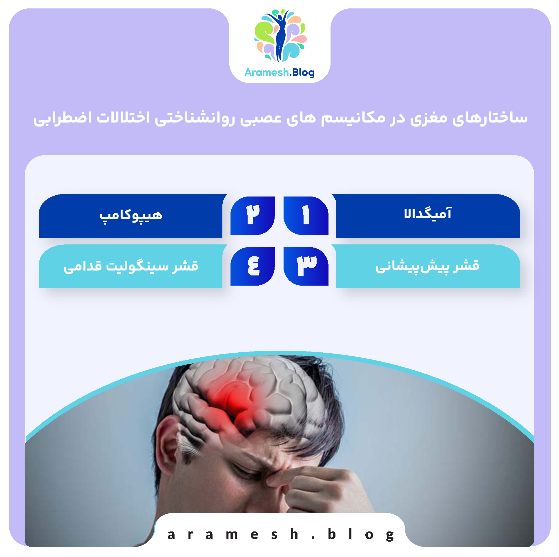 مکانیسم های عصبی روانشناختی اختلالات اضطرابی 3 ساختارهای مغزی در مکانیسم های عصبی روانشناختی اختلالات اضطرابی